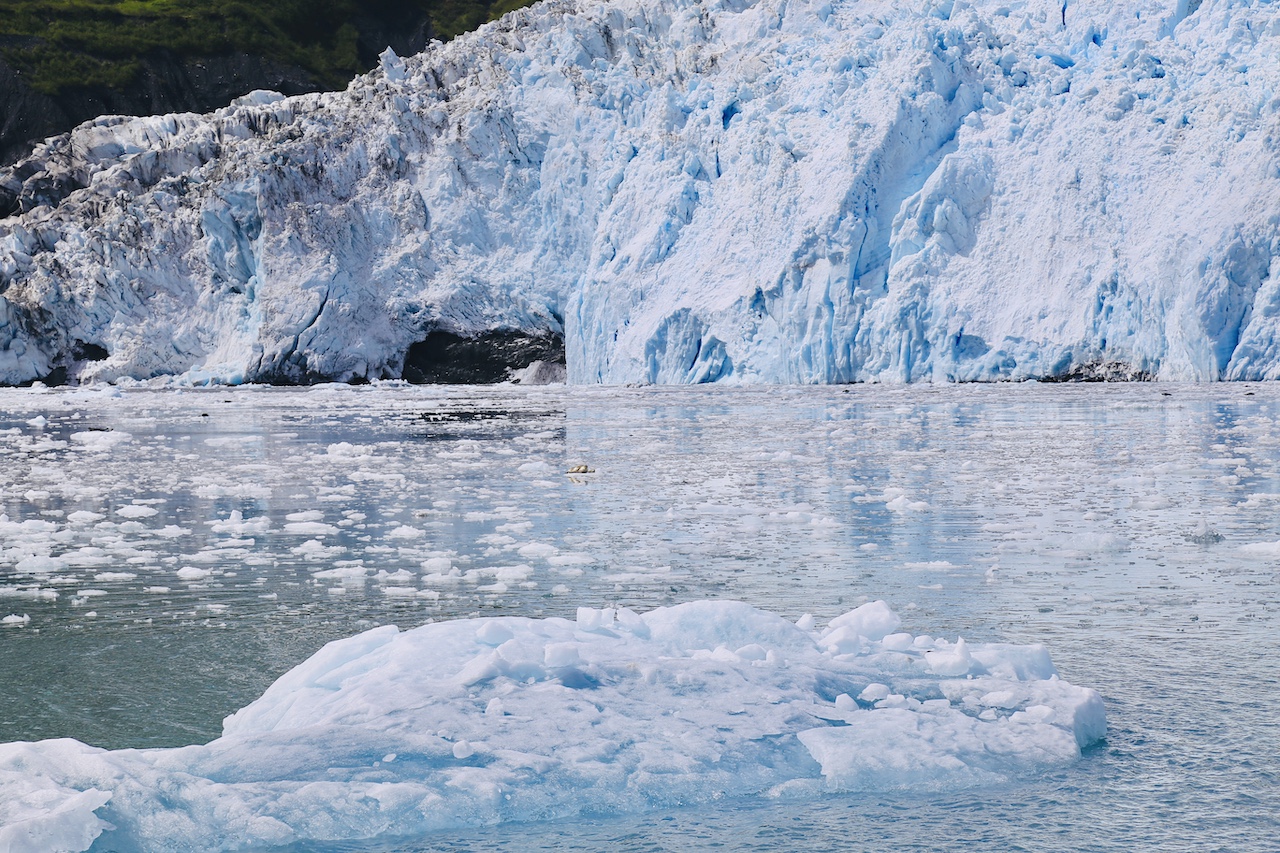 Aialik Glacier - 2