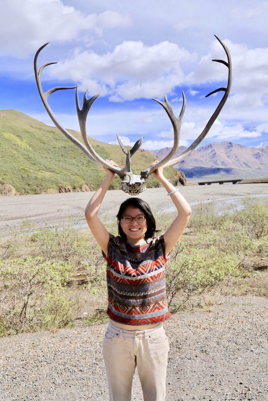 Denali National Park and Preserve - 4
