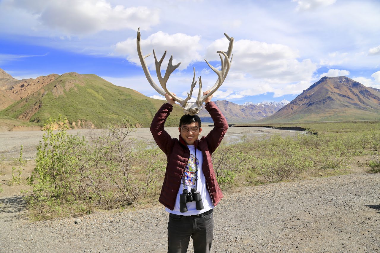 Denali National Park and Preserve - 5