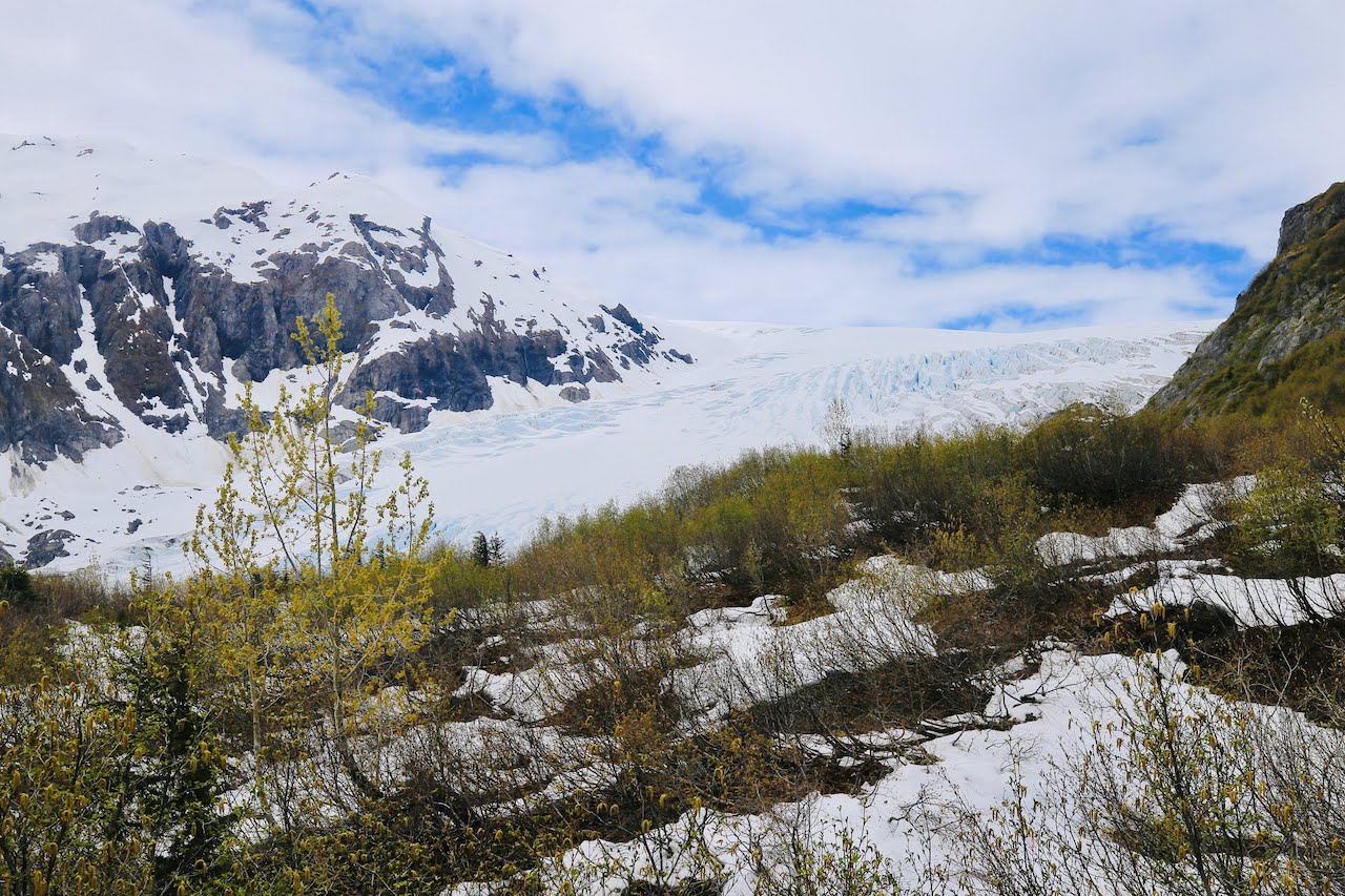 Exit Glacier Overlook - 2