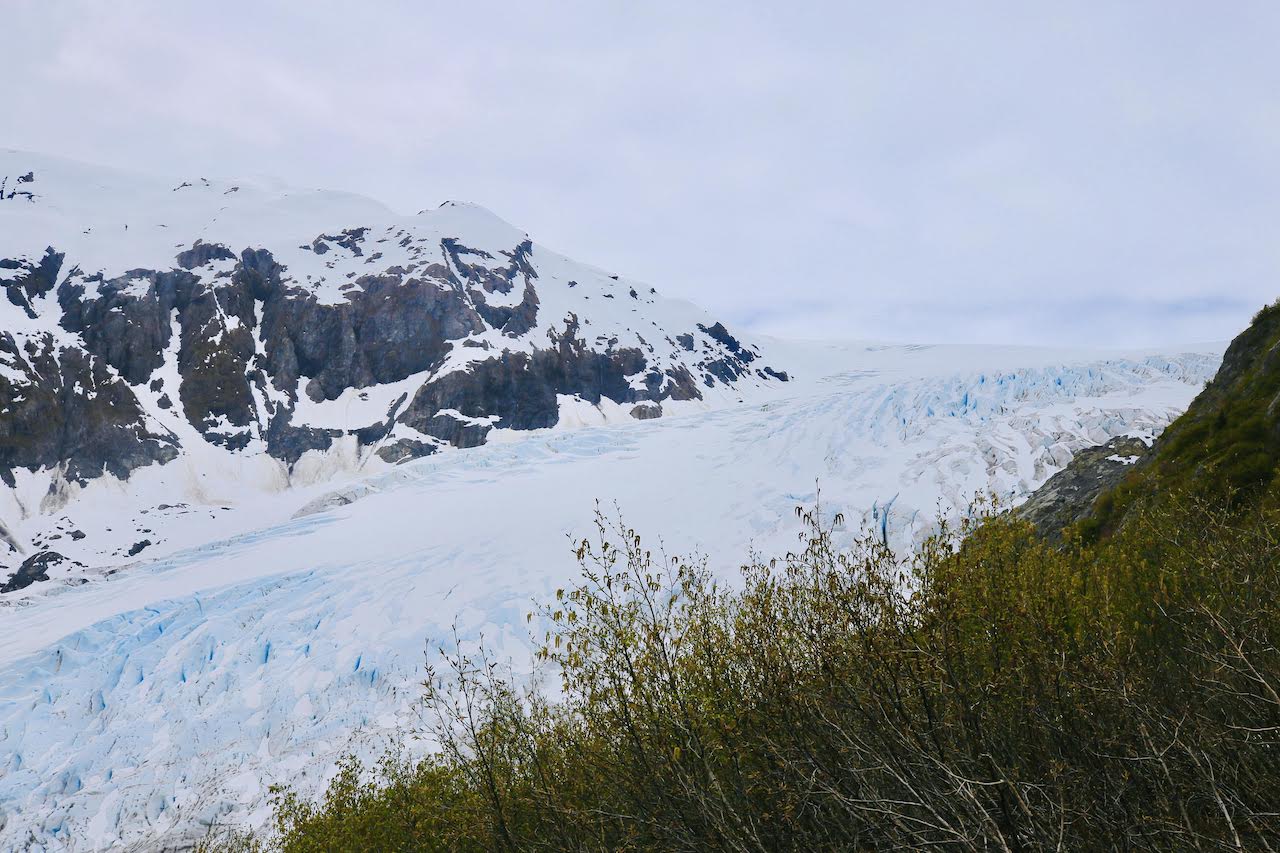 Exit Glacier Overlook - 3