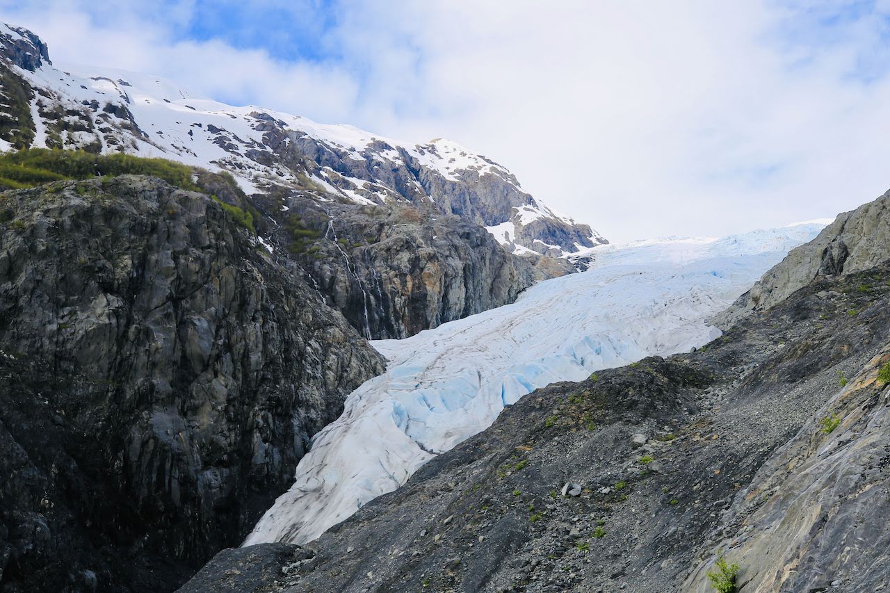 Exit Glacier Overlook - 4