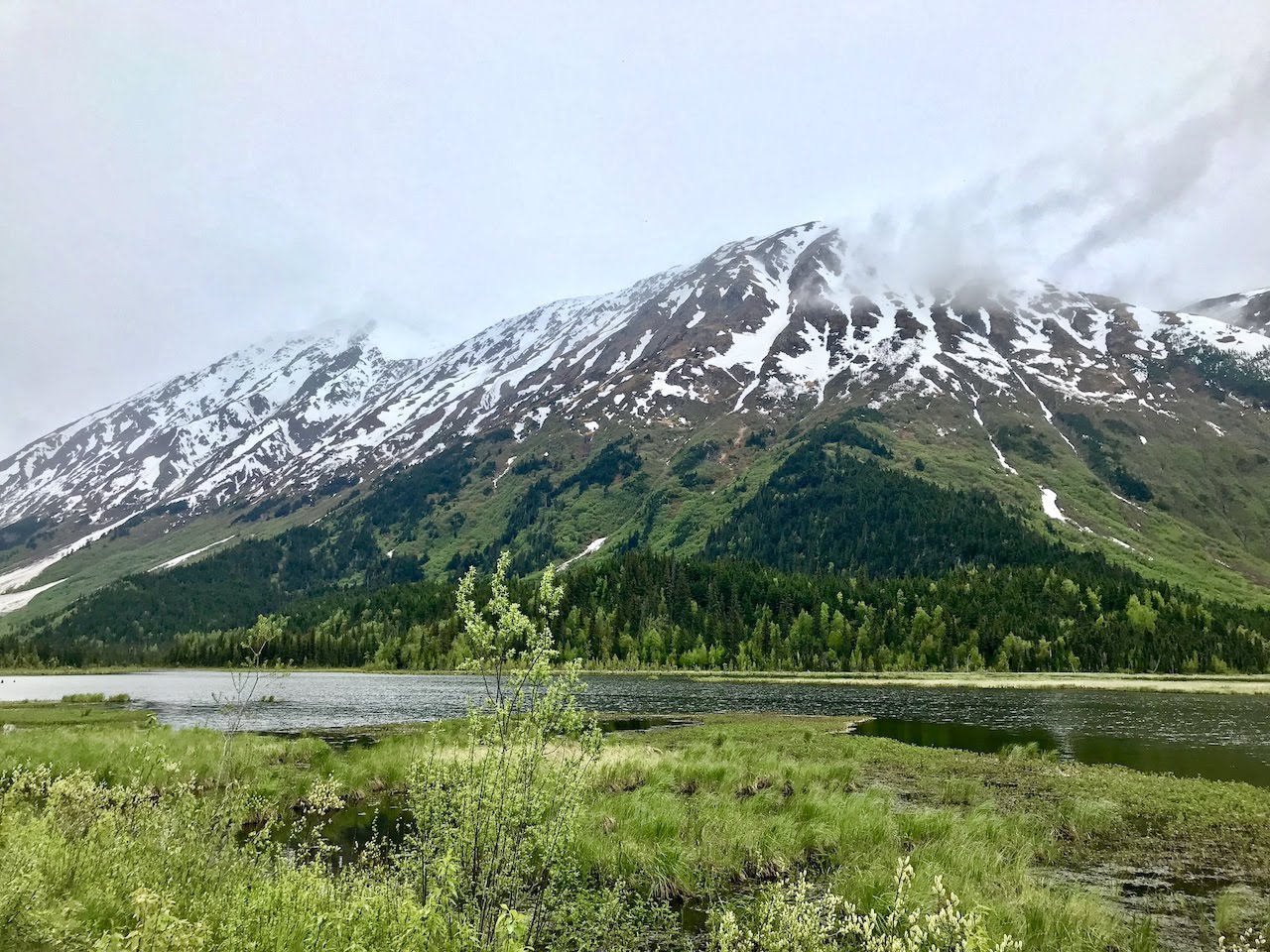 Scenary along Turnagain Arm Waterway